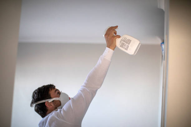 Best Mold Remediation  in Rossmoyne, OH