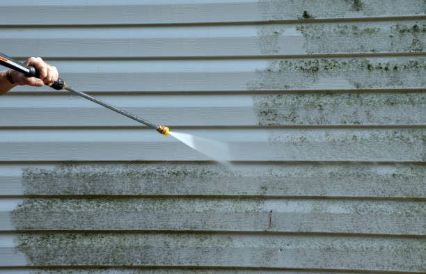 Attic Mold Removal in Rossmoyne, OH