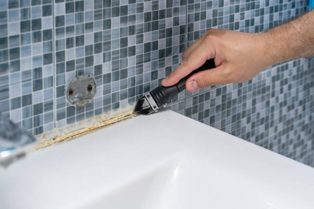 Best Local Mold Removal Service  in Rossmoyne, OH